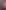 River Coello, an Ecuadorian nonbinary person with long wavy hair, sits in front of a blurred background.
