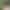 Black woman in sunglasses in front of trees