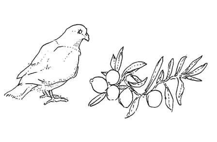 Illustration of a bird and a branch of fruit