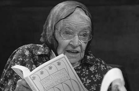 Image of Anne Porter