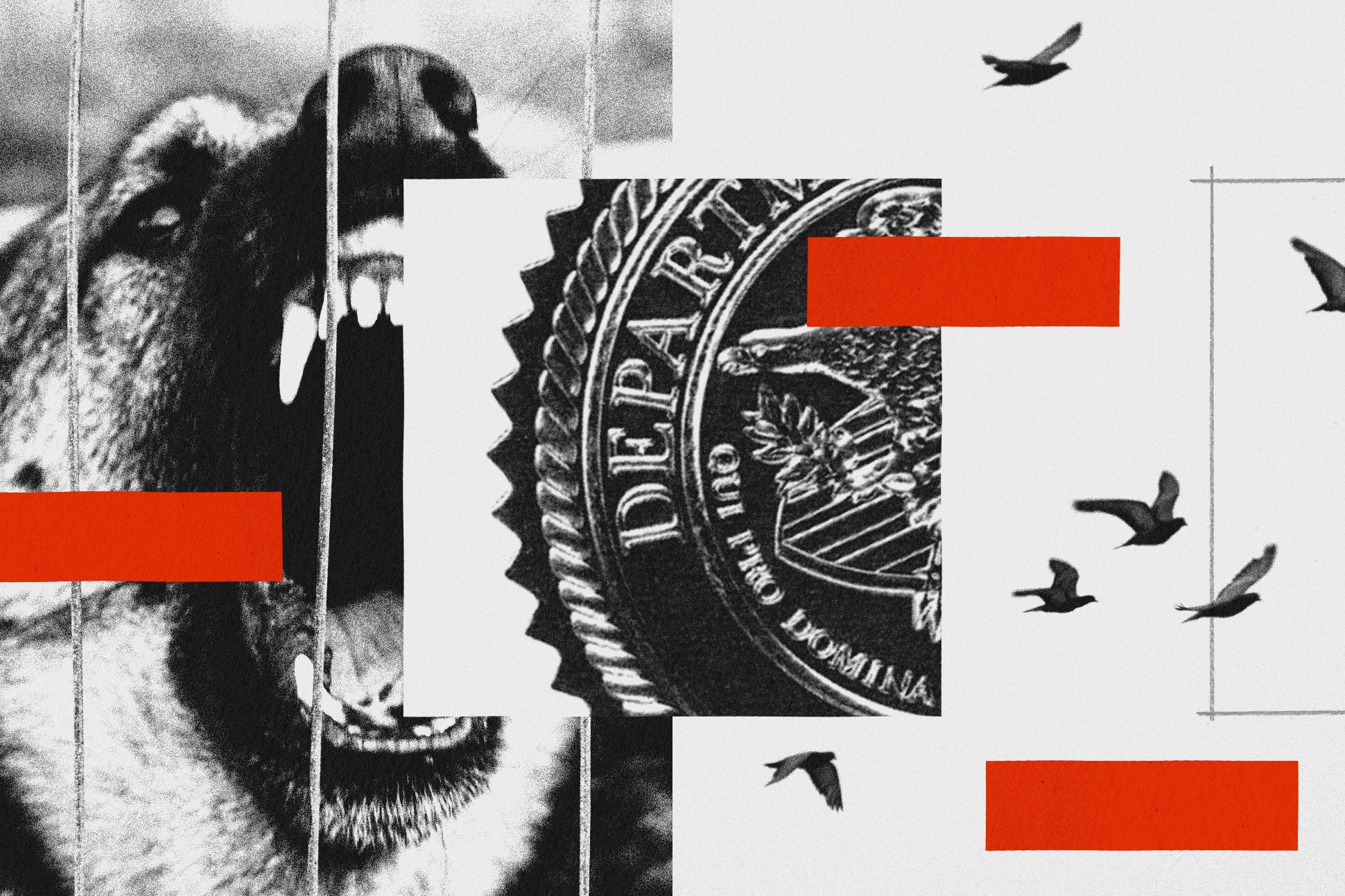 A collage of a barking dog, part of a Department of Justice seal, and flying birds. A few red lines are scattered throughout like redactions.