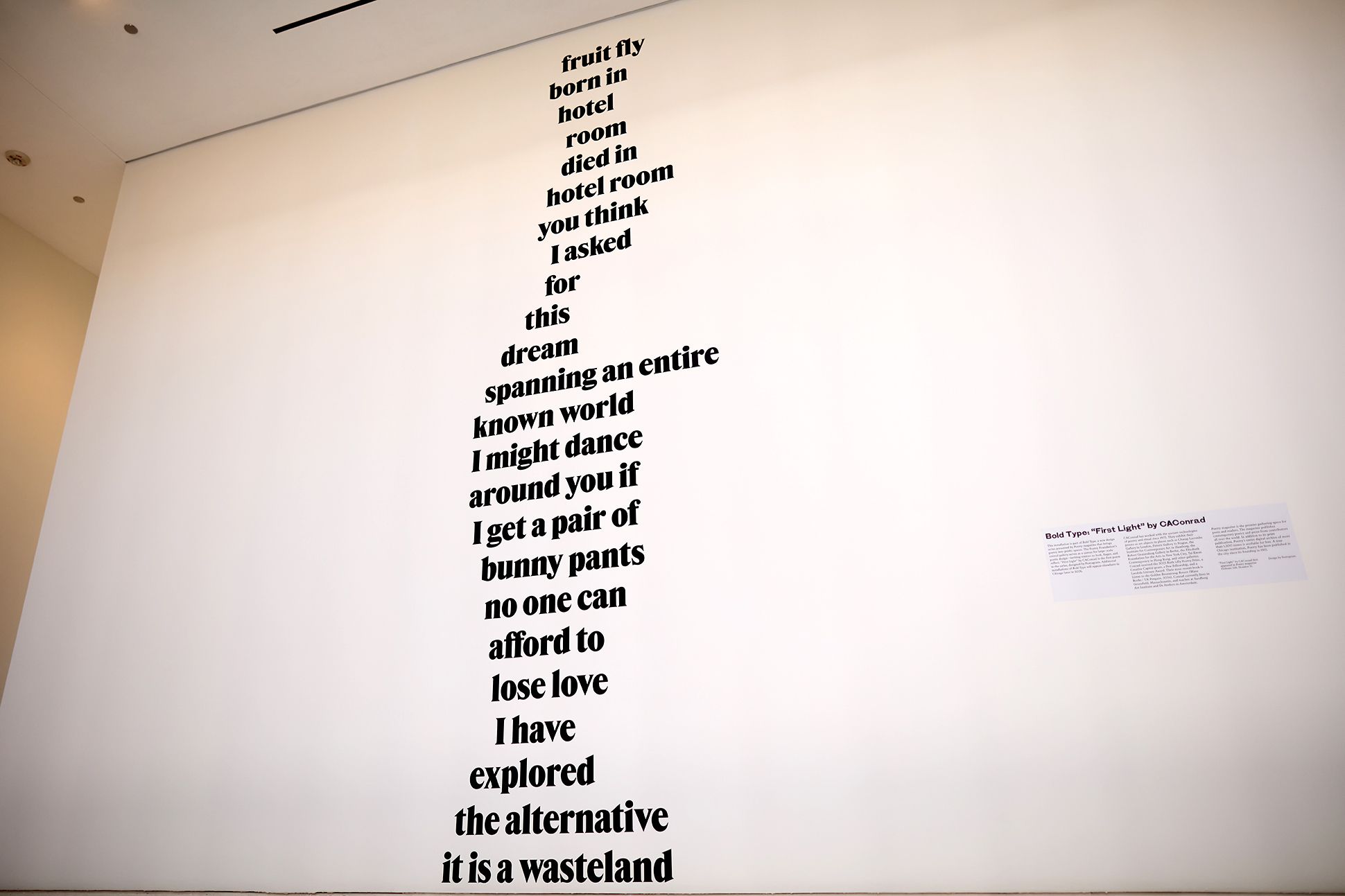 A white wall with the text of the poem First Light by CAConrad extending down it in bold black text
