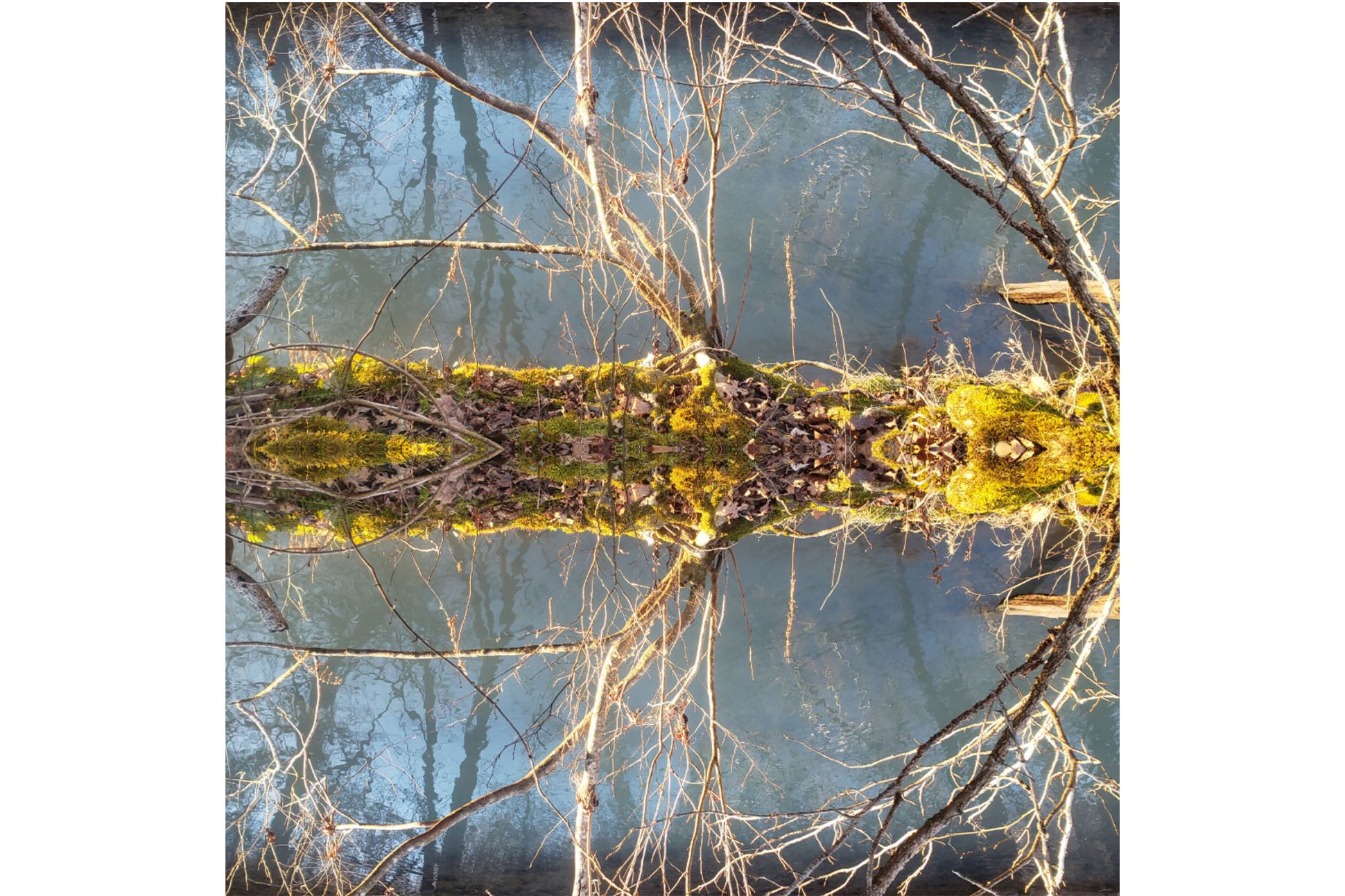 Fractal image, closeup of a tree, with yellow, green.