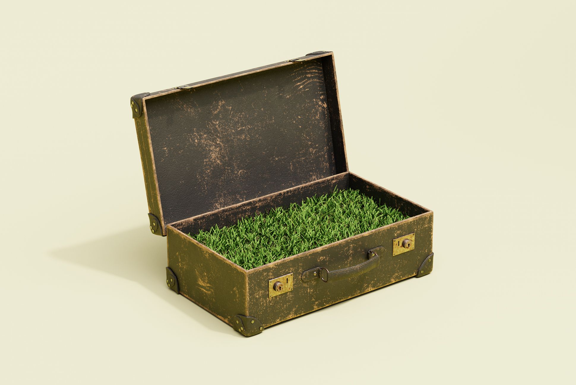 A worn suitcase containing green grass sits open in the middle of an eggshell-colored floor.